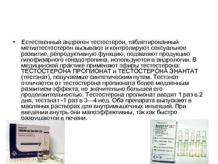  • Естественный андроген тестостерон, таблетированный метилтестостерон вызывают и контролируют сексуальное развитие, репродуктивную функцию,