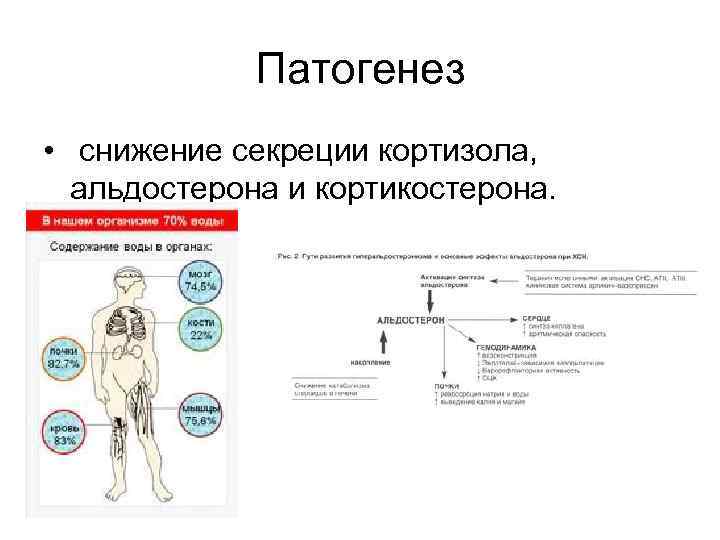 Гормональные средства фармакология презентация