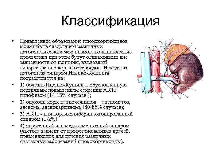 Классификация • • • Повышенное образование глюкокортикоидов может быть следствием различных патогенетических механизмов, но