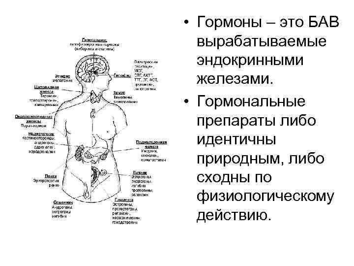  • Гормоны – это БАВ вырабатываемые эндокринными железами. • Гормональные препараты либо идентичны