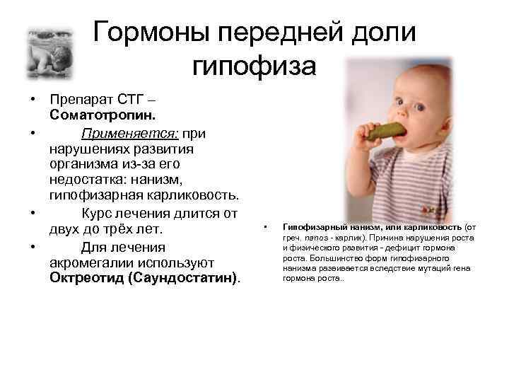 Гормоны передней доли гипофиза • Препарат СТГ – Соматотропин. • Применяется: при нарушениях развития