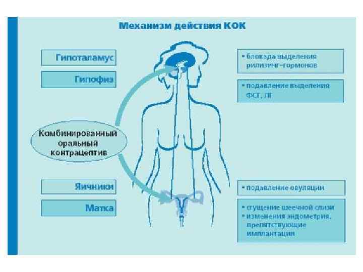 Презентация по фармакологии гормональные препараты