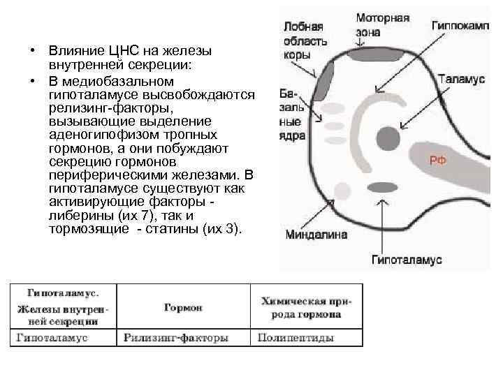 Снижение гормонального фона приводит к тест