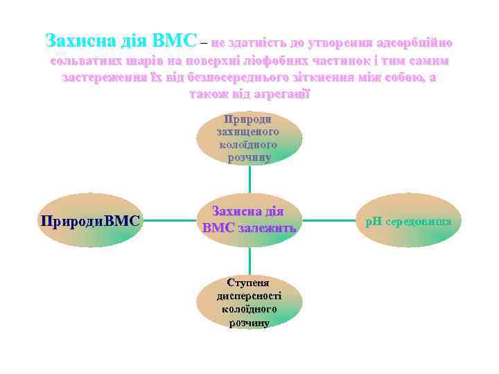 Захисна дія ВМС – це здатність до утворення адсорбційно сольватних шарів на поверхні ліофобних