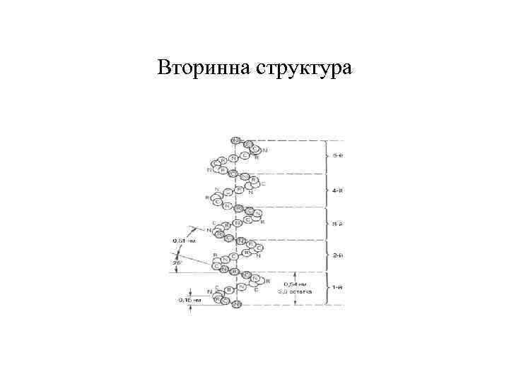 Вторинна структура 