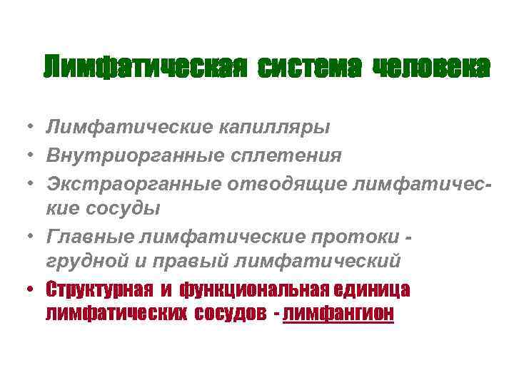 Лимфатическая система человека • Лимфатические капилляры • Внутриорганные сплетения • Экстраорганные отводящие лимфатические сосуды