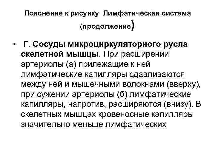 Пояснение к рисунку Лимфатическая система (продолжение ) • Г. Сосуды микроциркуляторного русла скелетной мышцы.