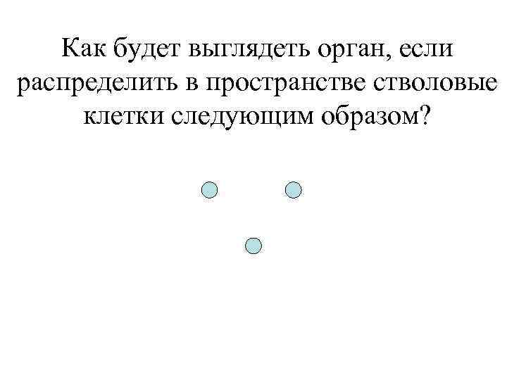 Как будет выглядеть орган, если распределить в пространстве стволовые клетки следующим образом? 