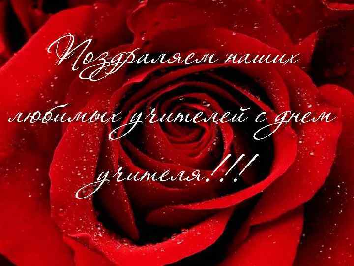 Подбери, пожалуйста, фон нейтральней, чтобы надпись было лучше видно. И для букв надо какие-нить