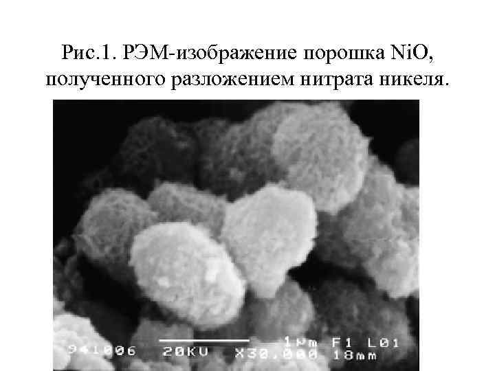 Рис. 1. РЭМ-изображение порошка Ni. O, полученного разложением нитрата никеля. 