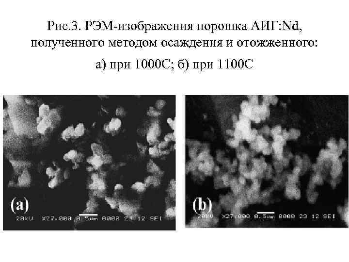 Рис. 3. РЭМ-изображения порошка АИГ: Nd, полученного методом осаждения и отожженного: а) при 1000