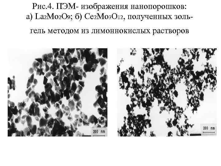 Пэм светлопольное изображение