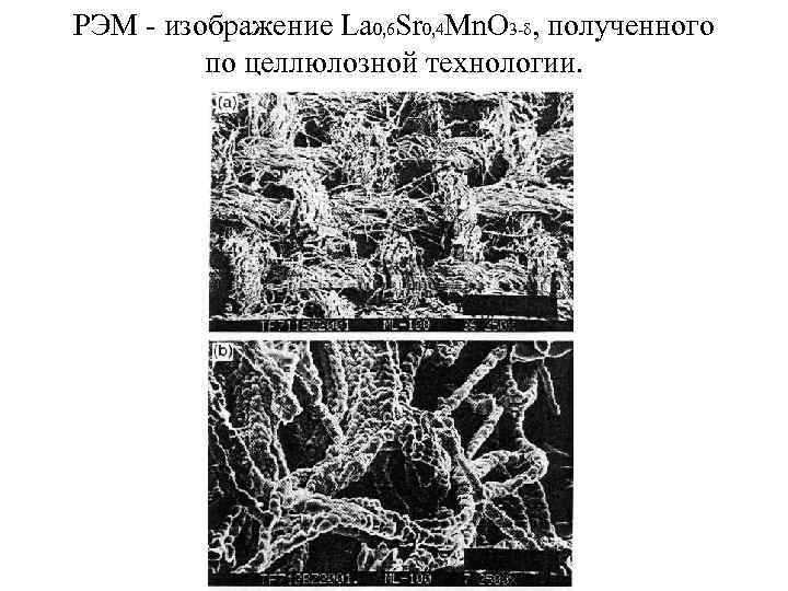 РЭМ - изображение La 0, 6 Sr 0, 4 Mn. O 3 -δ, полученного