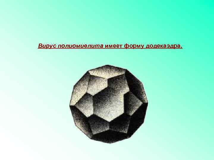Вирус полиомиелита имеет форму додекаэдра. 