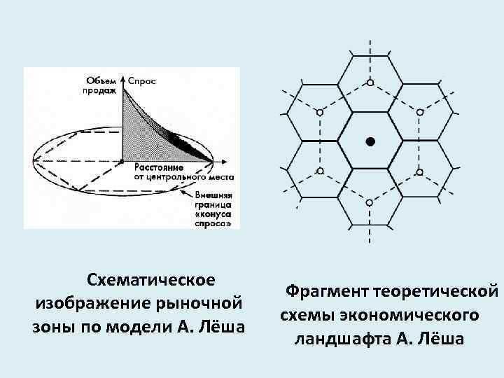 Схематическое изображение рыночной зоны по модели А. Лёша Фрагмент теоретической схемы экономического ландшафта А.