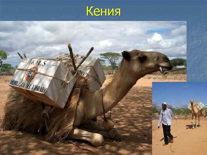Кения 