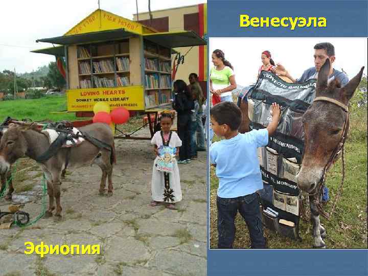 Венесуэла Эфиопия 