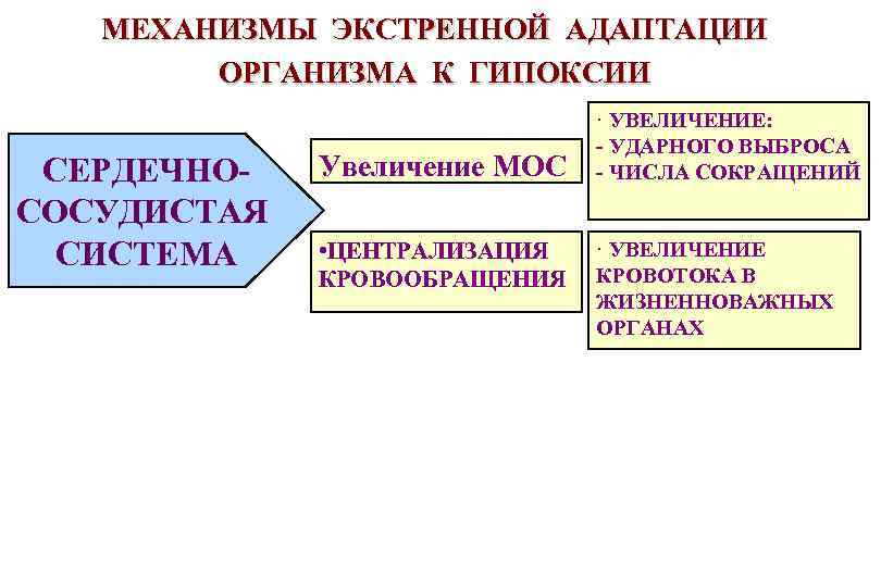 Экстренная адаптация к гипоксии схема