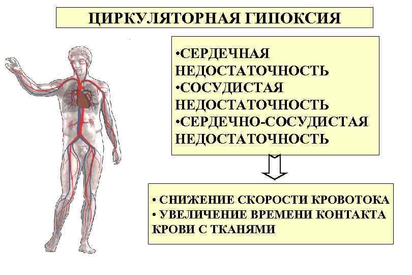 Гипоксия влияние. Гипоксия циркуляторного типа. Сердечно-сосудистый Тип гипоксии. Церкуляторгый гипоксия. Причины циркуляторной гипоксии.