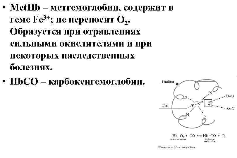  • Met. Hb – метгемоглобин, содержит в геме Fe 3+; не переносит О