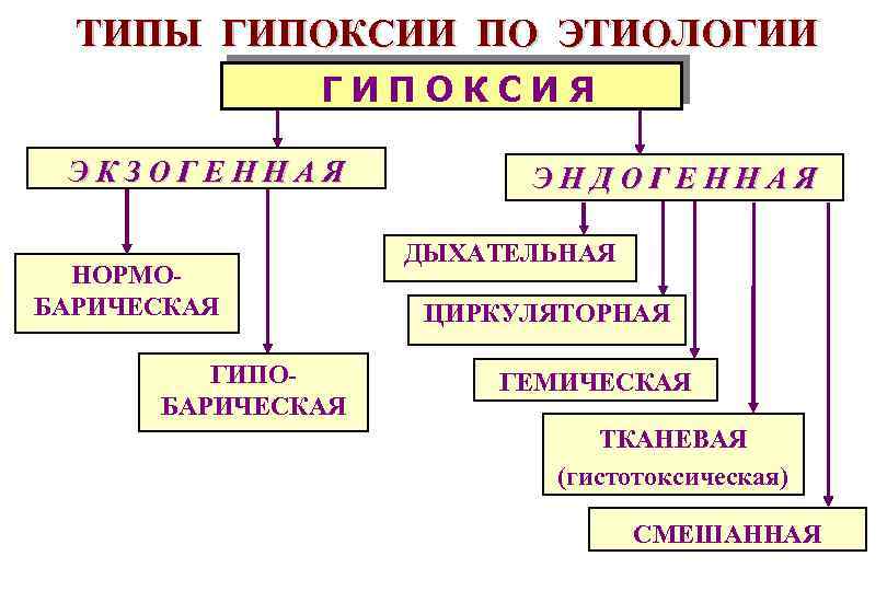 Периоды гипоксии. Виды гипоксии. Виды гтпоксий. Гипоксия экзогенная и эндогенная.