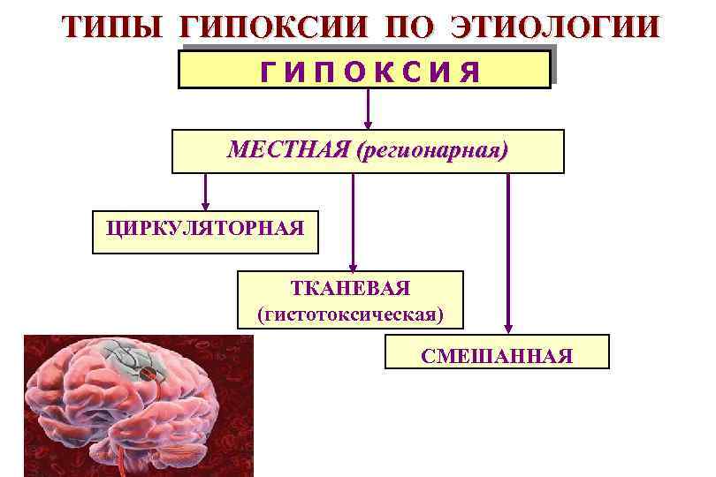 ТИПЫ ГИПОКСИИ ПО ЭТИОЛОГИИ ГИПОКСИЯ МЕСТНАЯ (регионарная) ЦИРКУЛЯТОРНАЯ ТКАНЕВАЯ (гистотоксическая) СМЕШАННАЯ 