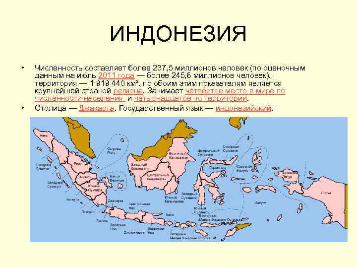 ИНДОНЕЗИЯ • • Численность составляет более 237, 5 миллионов человек (по оценочным данным на