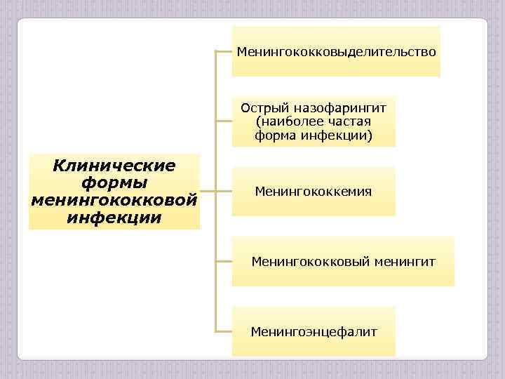 Менингококковыделительство Острый назофарингит (наиболее частая форма инфекции) Клинические формы менингококковой инфекции Менингококкемия Менингококковый менингит