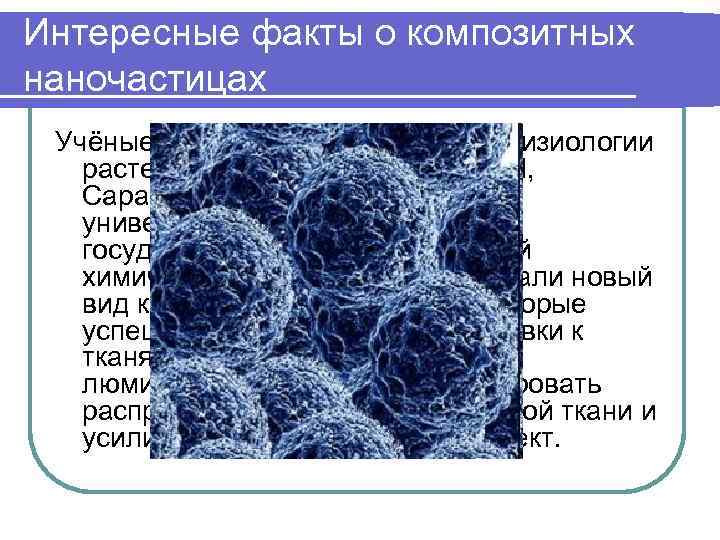 Интересные факты о композитных наночастицах Учёные из Института биохимии и физиологии растений и микроорганизмов