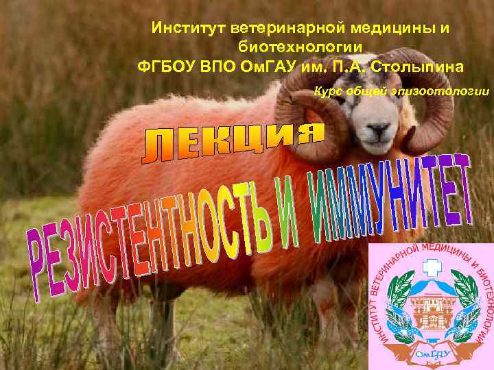 Институт ветеринарной медицины и биотехнологии ФГБОУ ВПО Ом. ГАУ им. П. А. Столыпина Курс