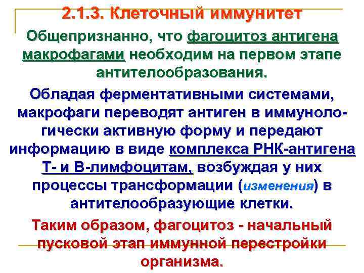 2. 1. 3. Клеточный иммунитет Общепризнанно, что фагоцитоз антигена макрофагами необходим на первом этапе