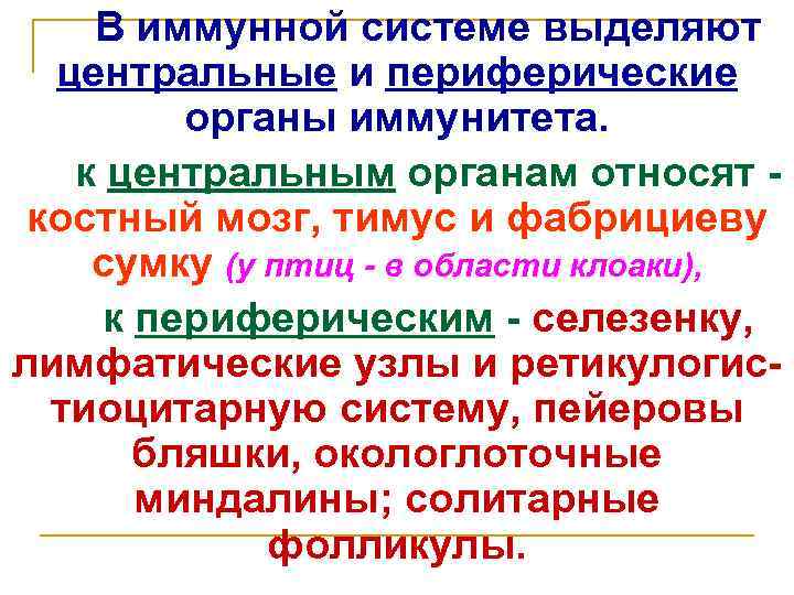 В иммунной системе выделяют центральные и периферические органы иммунитета. к центральным органам относят костный