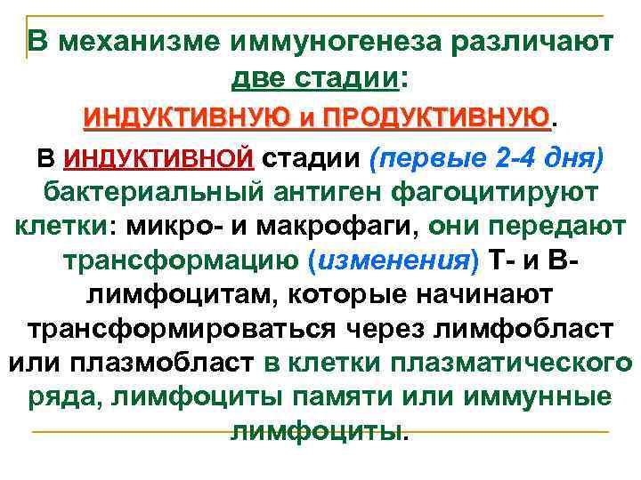 Органы иммуногенеза. Органы иммуногенеза