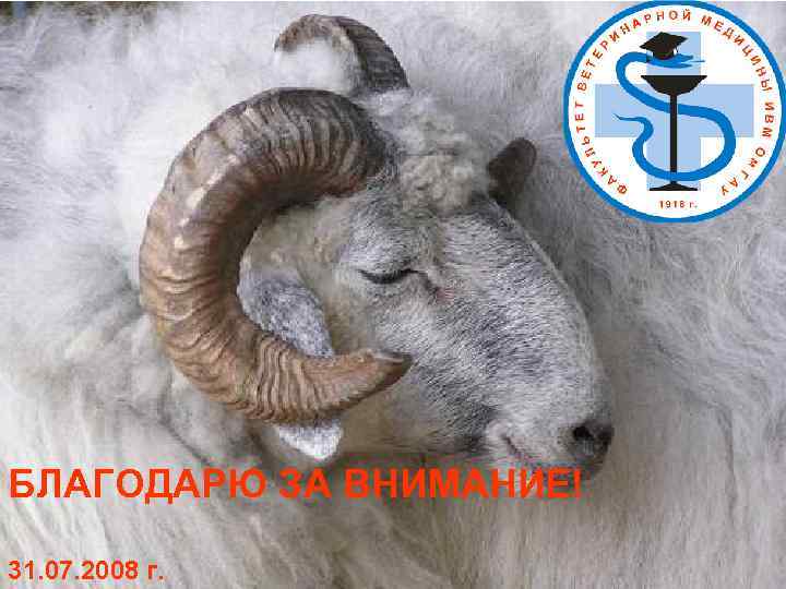 БЛАГОДАРЮ ЗА ВНИМАНИЕ! 31. 07. 2008 г. 