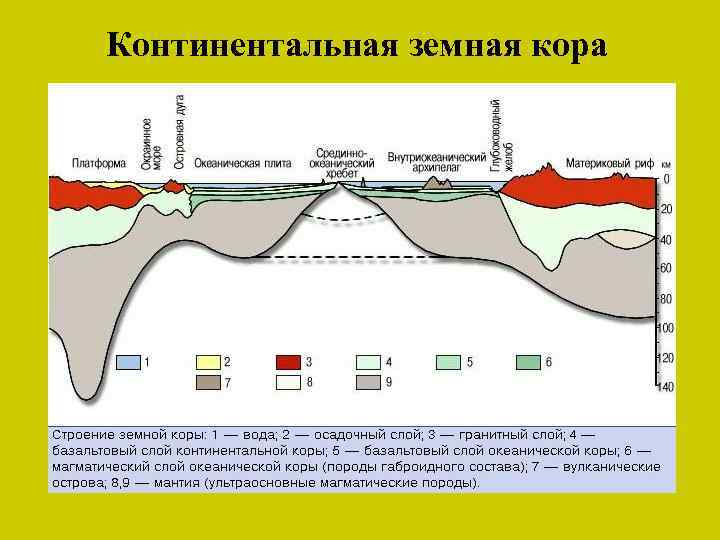 Континентальная земная кора 