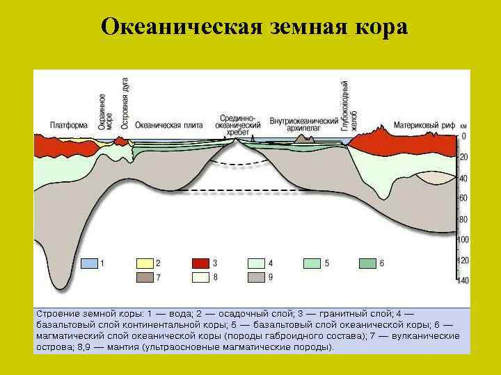 Океаническая земная кора 