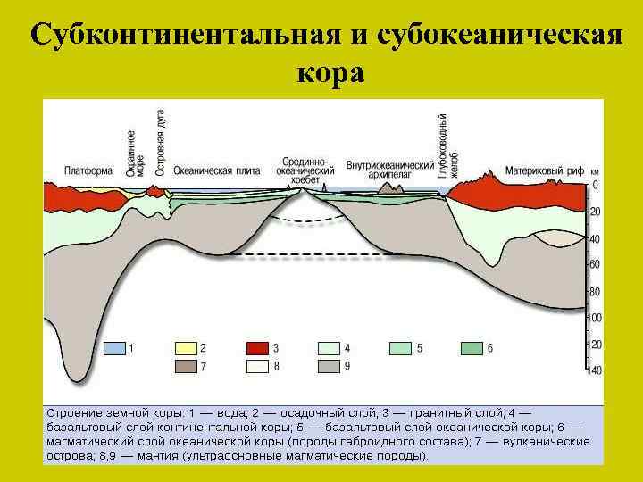 Субконтинентальная и субокеаническая кора 