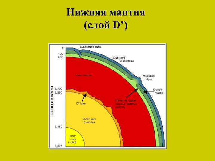 Нижняя мантия (слой D’) 