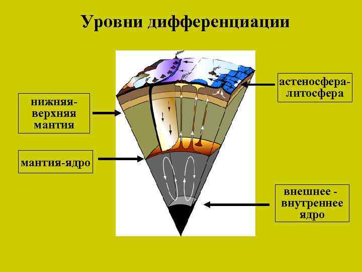 Уровни дифференциации нижняяверхняя мантия астеносфералитосфера мантия-ядро внешнее внутреннее ядро 