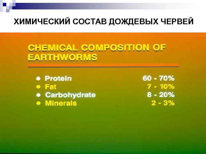 ХИМИЧЕСКИЙ СОСТАВ ДОЖДЕВЫХ ЧЕРВЕЙ 