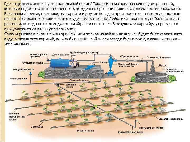 Где чаще всего используется капельный полив? Такая система предназначена для растений, которым недостаточно естественного,