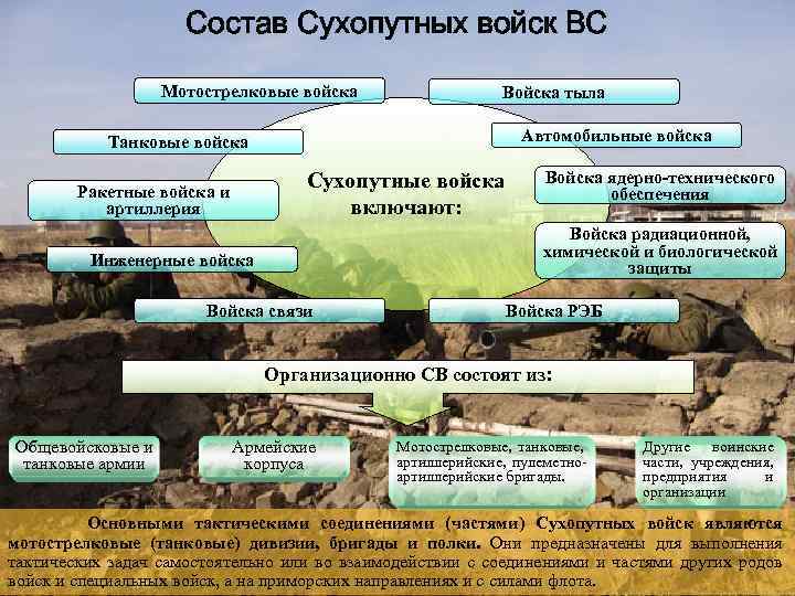 Состав Сухопутных войск ВС Мотострелковые войска Войска тыла Автомобильные войска Танковые войска Сухопутные войска