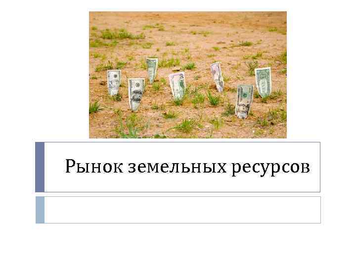 Рынок земельных ресурсов 
