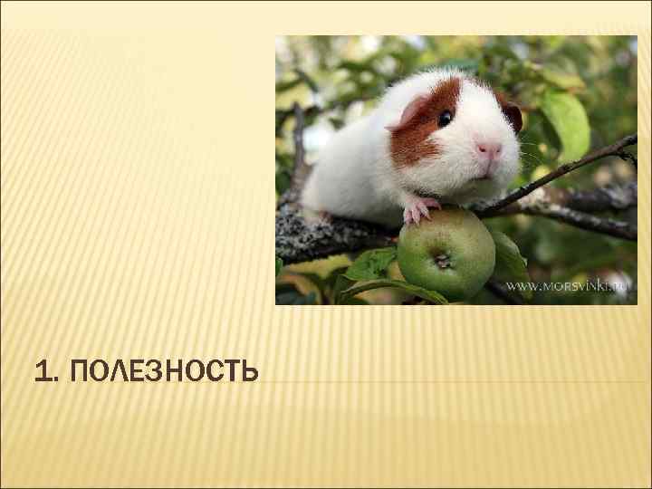 1. ПОЛЕЗНОСТЬ 