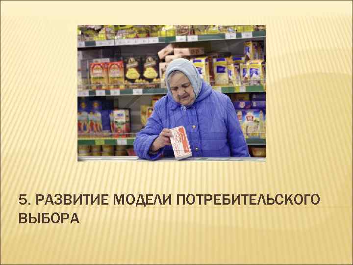 5. РАЗВИТИЕ МОДЕЛИ ПОТРЕБИТЕЛЬСКОГО ВЫБОРА 