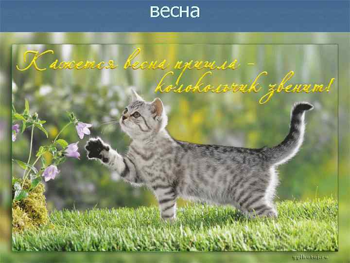 весна 