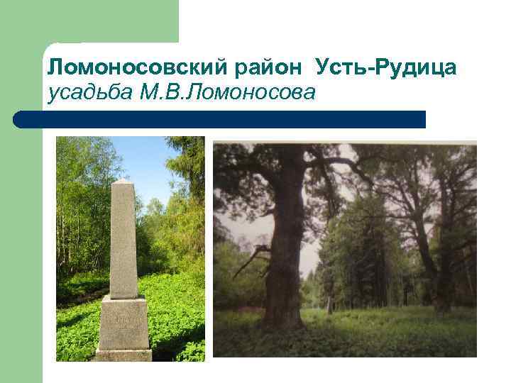 Ломоносовский район Усть-Рудица усадьба М. В. Ломоносова 