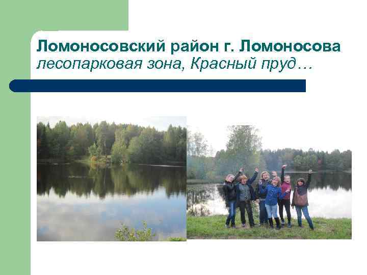 Ломоносовский район г. Ломоносова лесопарковая зона, Красный пруд… 