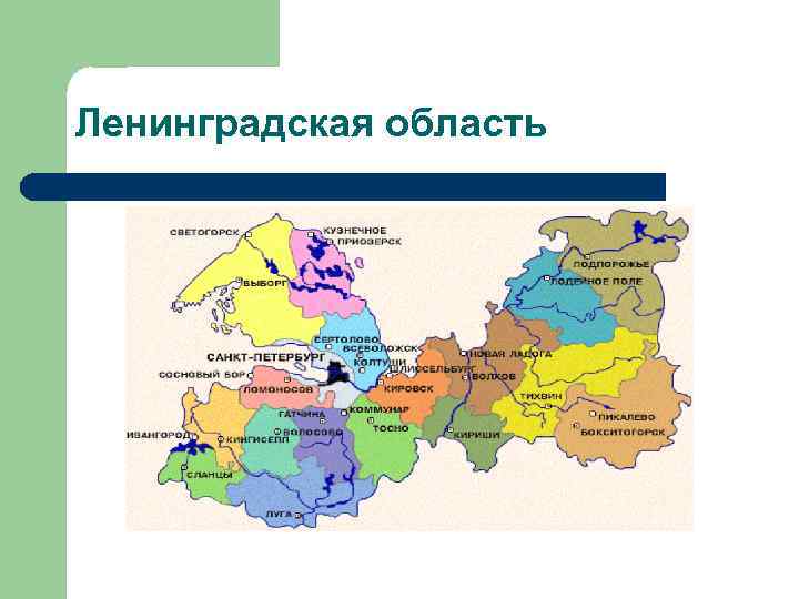 Ленинградская область 