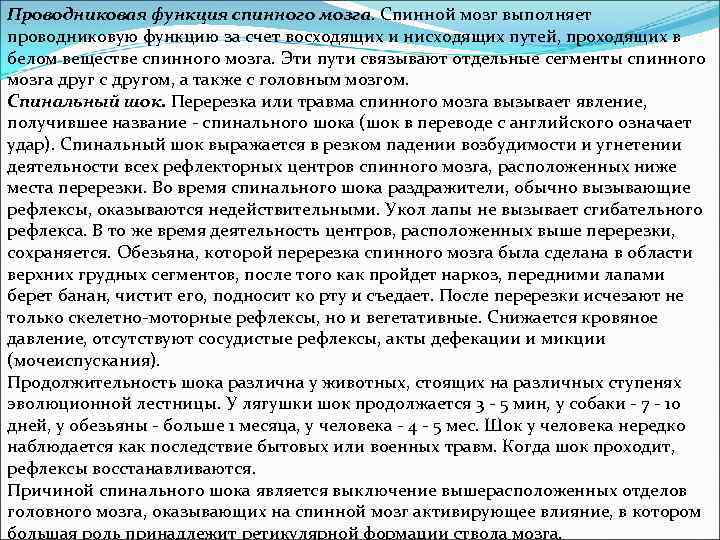 Проводниковая функция спинного мозга. Спинной мозг выполняет проводниковую функцию за счет восходящих и нисходящих